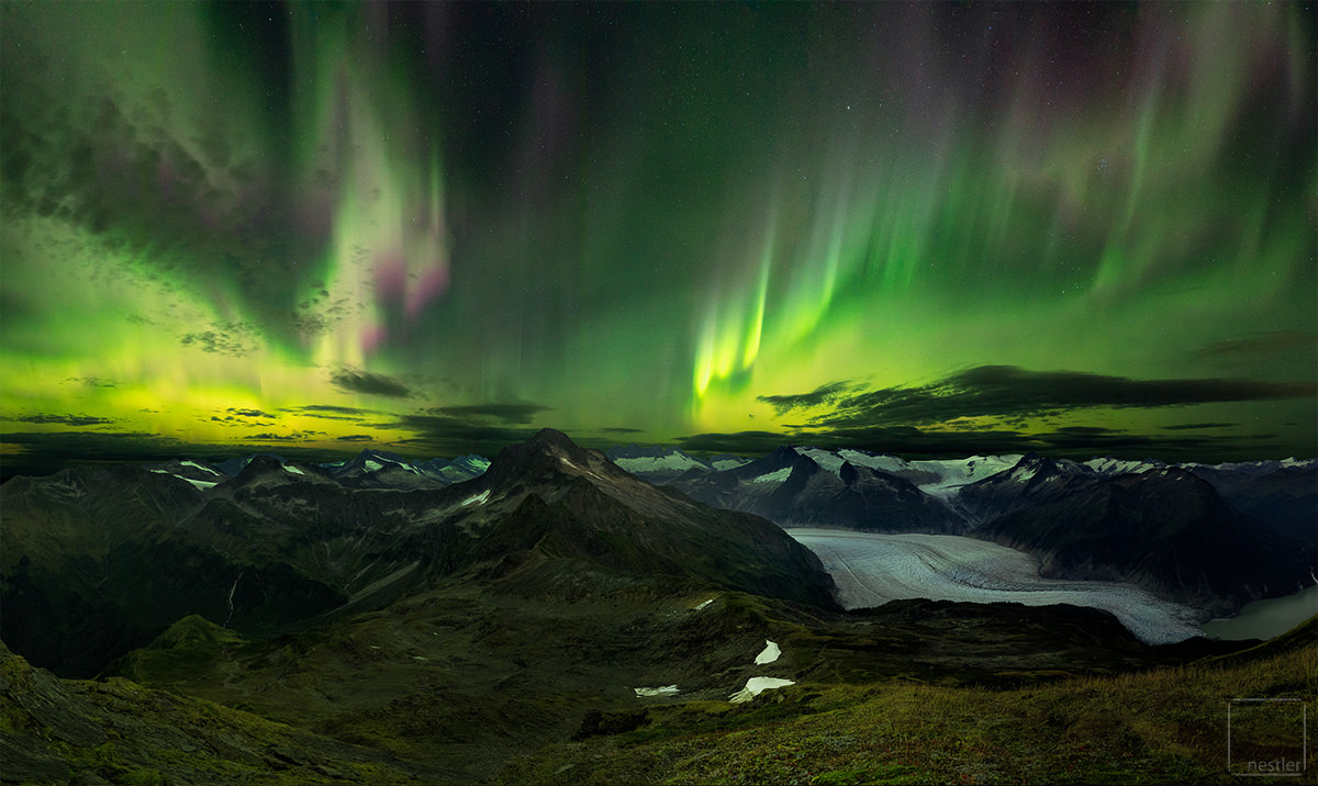 Alaska Aurora Borealis With Snowy Trees, Alaskan Northern Lights, how ...