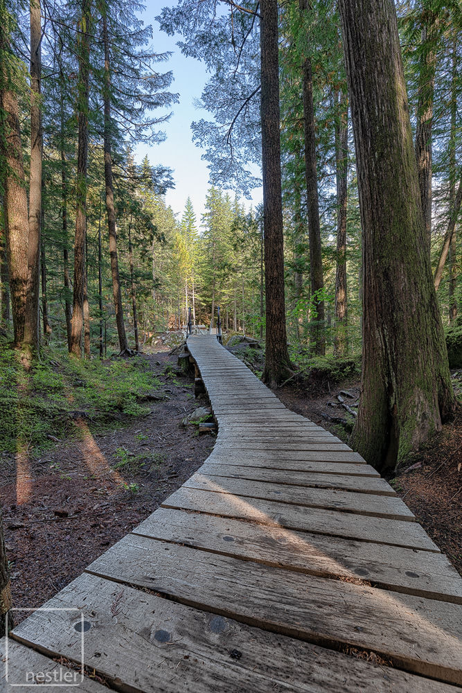 Trail to Whistler Trainwreck